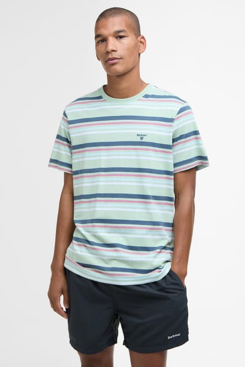 تیشرت مردانه Barbour مدل Houstead Stripe Tailored Fit رنگ Pale Apple کد GN12
