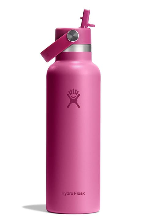 فلاسک آب Hydro Flask استاندارد با درپوش نی‌دار 621 ml (21 Oz) - Reef Pembe