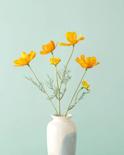 گل مصنوعی Daisy تک شاخه ۶۲ سانتی‌متری نارنجی
