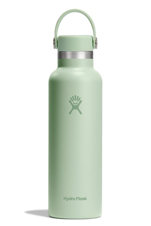 فلاسک Hydro Flask با درپوش استاندارد 621 میلیلیتر (21 اونس) - سبز آلوئه