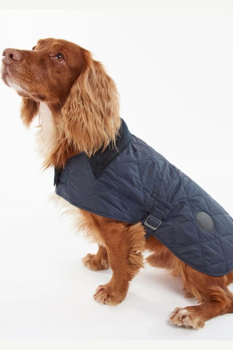 لباس سگ کوییلت Barbour مدل NY52 رنگ Navy