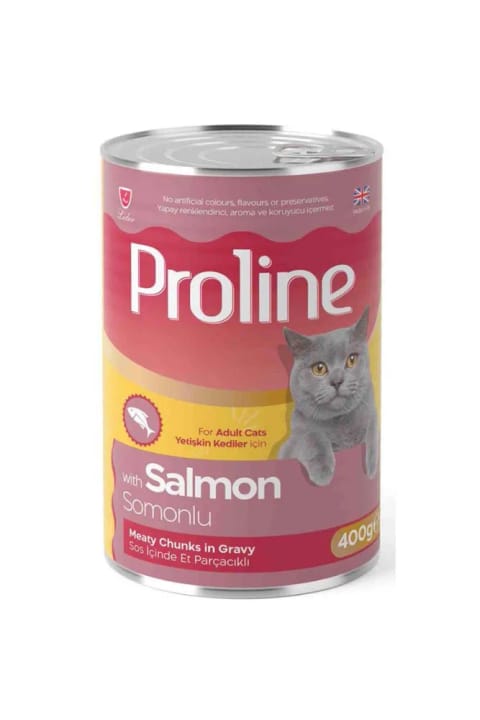 Proline غذای کنسرو گربه بالغ با سالمون و سس Gravvy 400 گرم