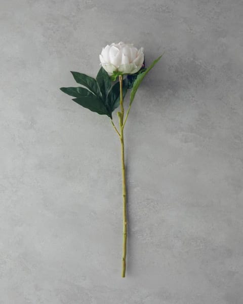 گل مصنوعی تک شاخه Peony ۵۸ سانتی‌متری رنگ شامپاینی