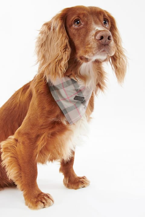 بندانا سگ Barbour طرح تارتان BE91 رنگ Taupe-Pink Tartan