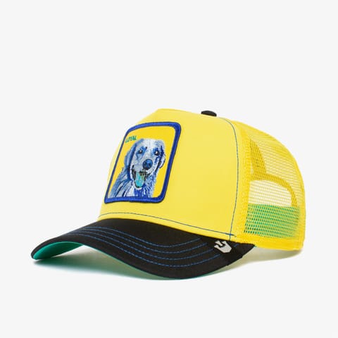 کلاه Goorin Bros Doggy Trip یونیسکس زرد