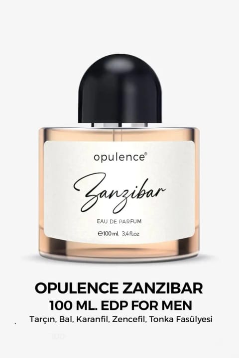 Opulence Zanzibar ادوپرفیوم مردانه 100 میلی‌لیتر