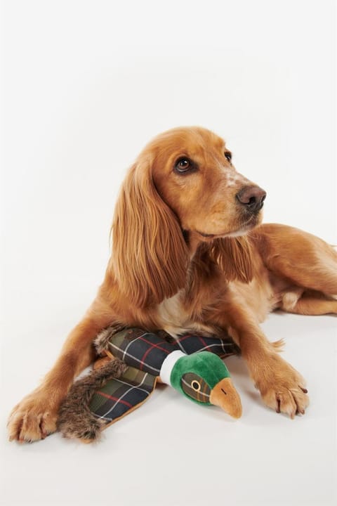 اسباببازی سگ Barbour Tn11 Classic Tartan