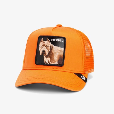 کلاه Goorin Bros The Dog Pitbull یونیسکس نارنجی