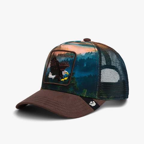 کلاه Goorin Bros Eagle In The Element یونیسکس سبز
