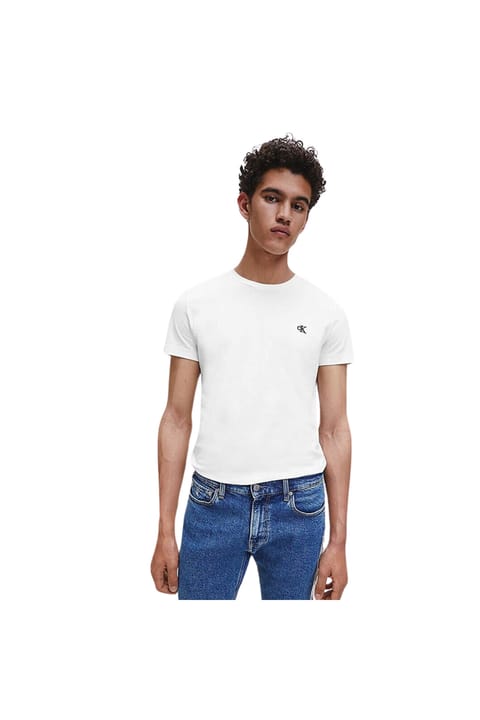 تیشرت بیسیکلت آستین کوتاه مردانه Calvin Klein جنس پنبه آلی، فیت باریک، با لوگوی گلدوزیشده Calvin Klein