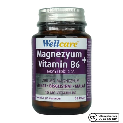 Wellcare منیزیم و ویتامین B6 30 قرص