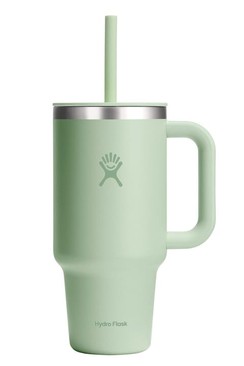 فلاسک و لیوان سفر Hydro Flask All Around Travel Tumbler با نی، ۹۴۶ میلی‌لیتر (۳۲ اونس) - سبز Aloe