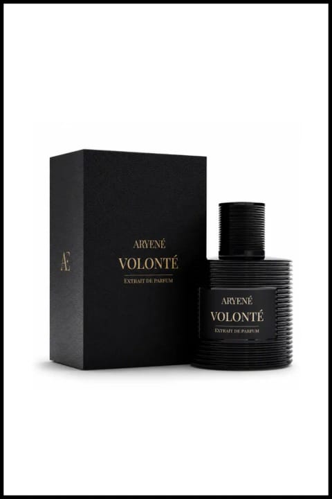 Aryene Volenté Incarné – عطر ادکلن مردانه Extrait de Parfum 100 ml | آمبر آروماتیک...