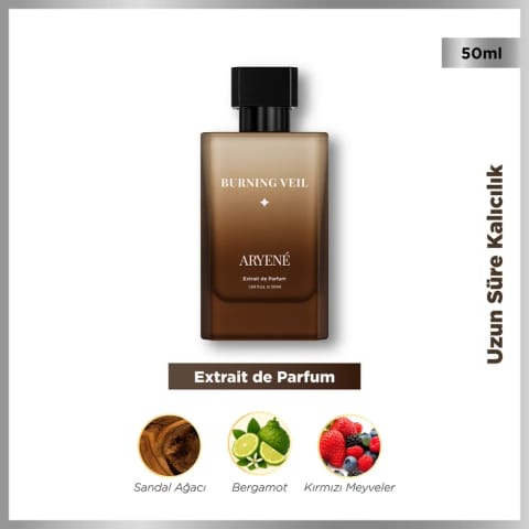 Aryene Burning Veil Debut Extrait de Parfum ادوپرفم مردانه ۵۰ میلیلیتر