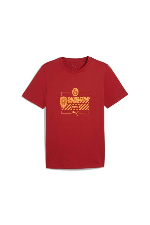 تیشرت مردانه Puma GALATASARAY FtblCulture