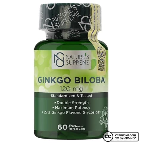 Nature's Supreme جینکو بیلوبا 120 میلیگرم 60 کپسول