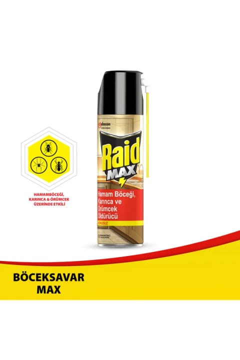 Raid Max بی‌بو حشره‌کش 300 گرم