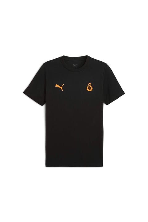 تیشرت مردانه GALATASARAY FtblESSENTIALS