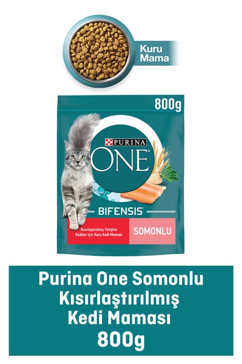 Purina One غذای گربه بالغ عقیمشده با طعم سالمون ۸۰۰ گرم