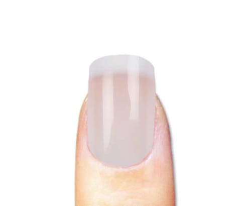 ناخن مصنوعی فرنچ طبیعی Elly مدل ELLYNAIL0010 بسته ۲۴ عددی