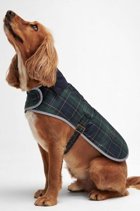 کاپشن سگ Barbour Wetherham طرح چهارخانه TN23 Green Loch Tartan