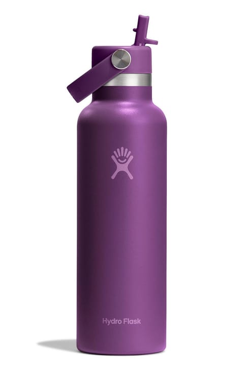 فلاسک Hydro Flask با درب استاندارد و نی ۶۲۱ میلی‌لیتر (۲۱ اونس) - Beachplum Mor
