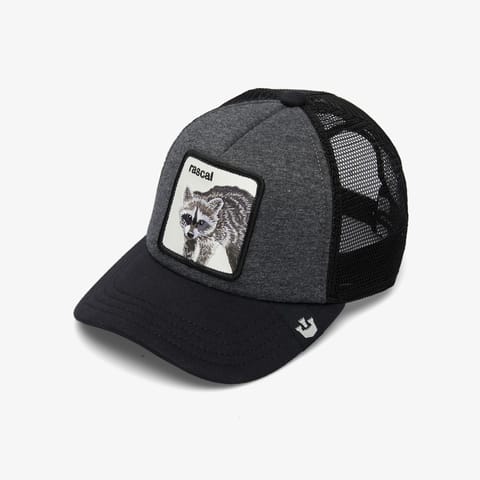 کلاه مردانه Goorin Bros مدل Racacoonie 201-2053 خاکستری