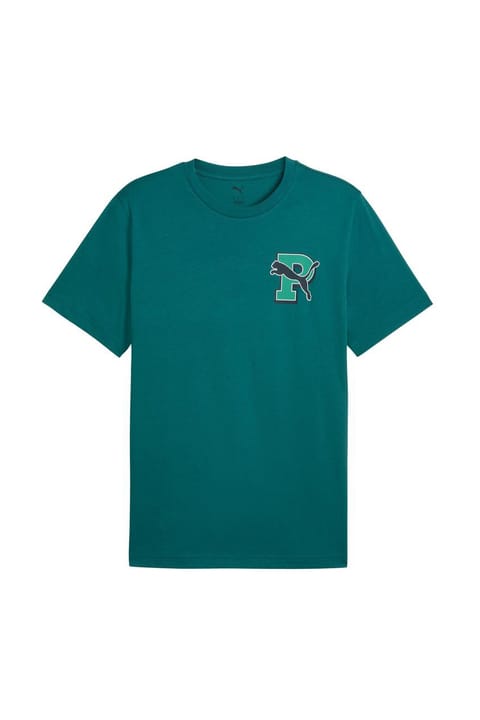 تیشرت مردانه Puma Graphic سبز استایل روزمره 69177641
